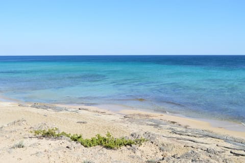 Day, Natural landscape, Beach