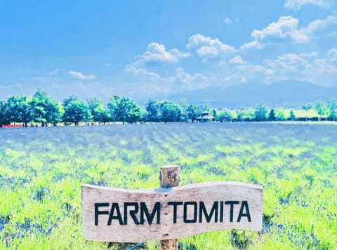 Spring, Day, Natural landscape, View (from property/room), Other, Cycling, Text overlay, Mountain view, Street view, Area and facilities, Area and facilities, Area and facilities, children, young children, older children