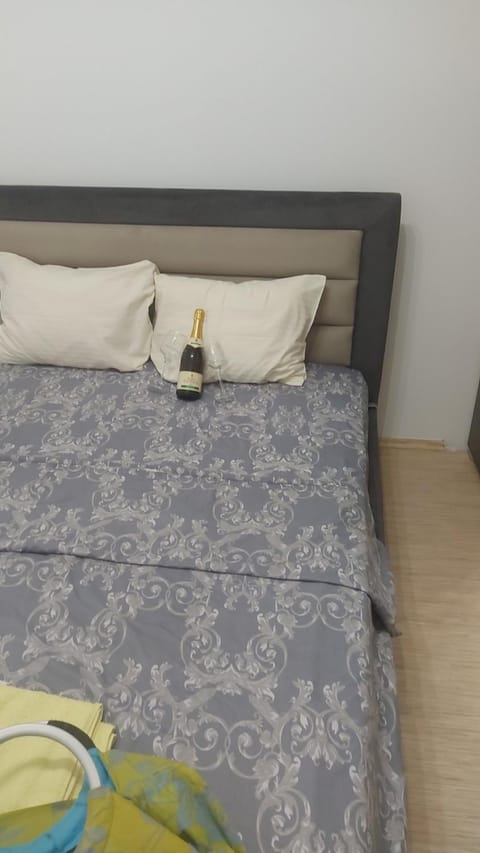 Sofi Apartment in Serbia