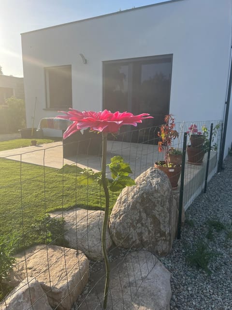 Patio, Garden, Balcony/Terrace