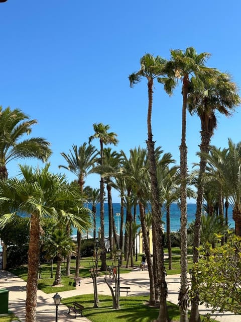 Property view