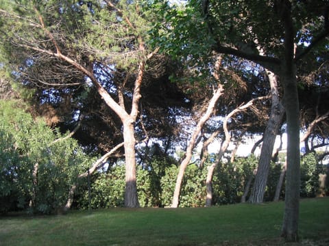 B&B I Pioppi Argentati Bed and Breakfast in Giulianova