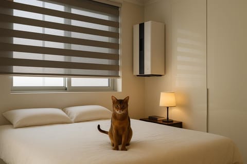 Bed, Photo of the whole room, Bedroom, Pets