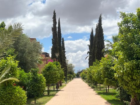 Spring, Natural landscape