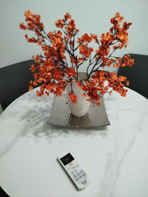 Valery Apartment in Mostar