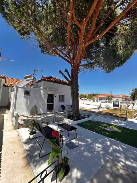 Property building, Neighbourhood, Garden, Garden, Balcony/Terrace, Garden view, Street view