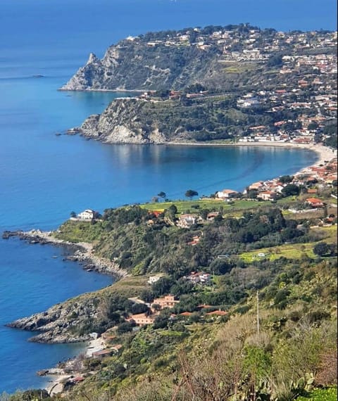 Natural landscape