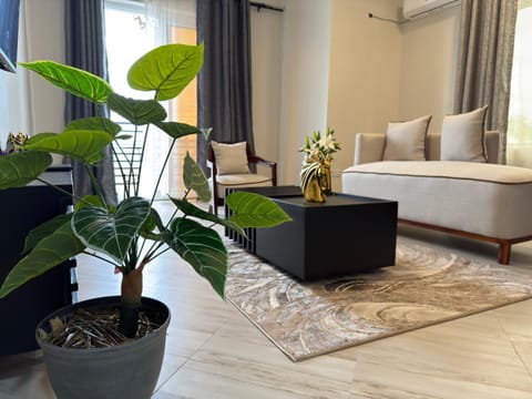 Living room, Seating area, air conditioner