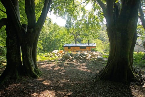 Woodcutters' Cabin Authentic Log Cabin Talybont Aberystwyth SY245DW Cabin in Wales