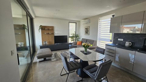 TV and multimedia, Kitchen or kitchenette, Living room, Seating area, Dining area, dishwasher, oven, stove