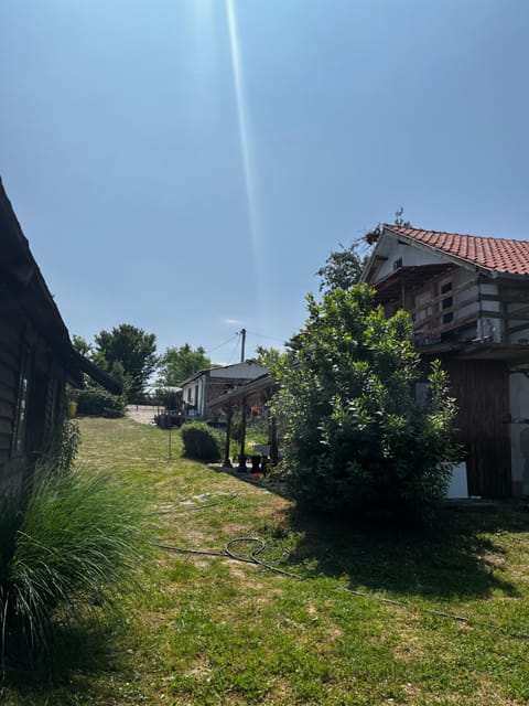 Kod Baka Olge Apartment in Serbia