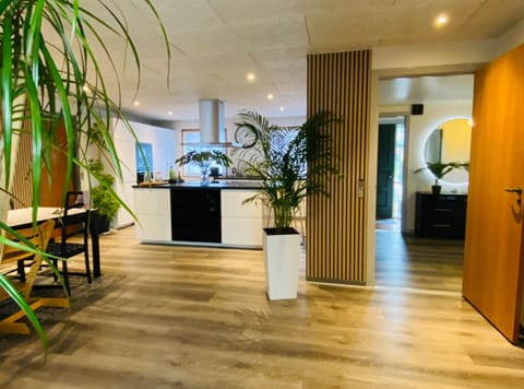 Decorative detail, kitchen