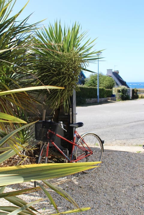 Natural landscape, Cycling, Sea view