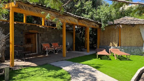 Property building, Spring, Natural landscape, Garden, Garden view, sunbed