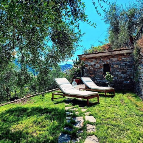 Day, Natural landscape, Garden, Garden view, sunbed