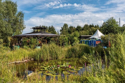Ferienatelier im Haus Ginkgo Apartment in Rheinsberg