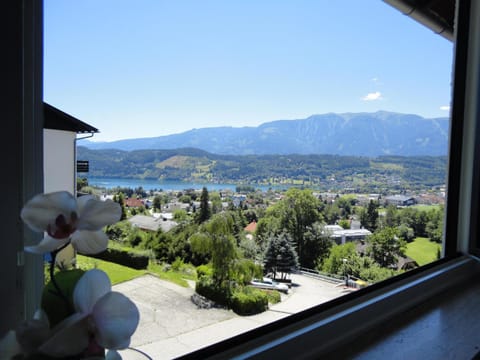 Lake view