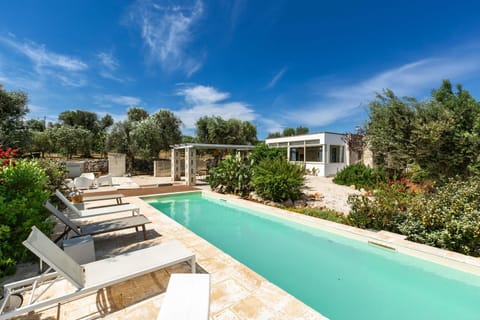 Pool view, Swimming pool, sunbed