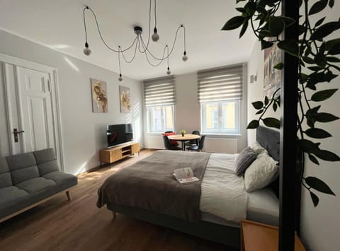 Communal lounge/ TV room, Bed, TV and multimedia, Living room, Photo of the whole room, Seating area, Bedroom