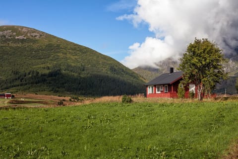 Property building, Natural landscape, Garden, Mountain view