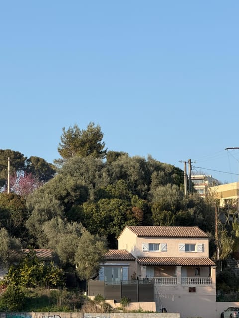Property building, Natural landscape