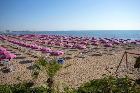 Nearby landmark, Summer, Beach