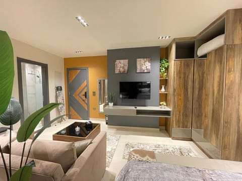TV and multimedia, Living room, Seating area, wardrobe
