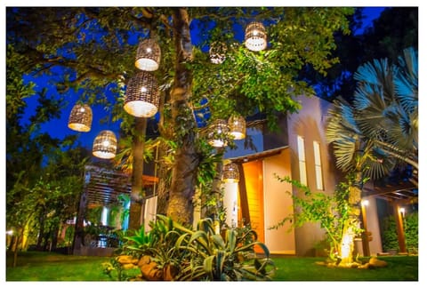 Night, Garden, Garden
