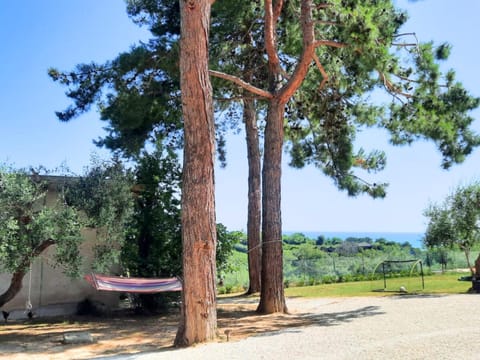 Natural landscape, Garden, Sea view
