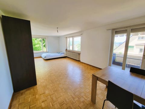 City Center Flats with Balcony & Garden View Rigi - Self Checkin Apartment in Zurich City