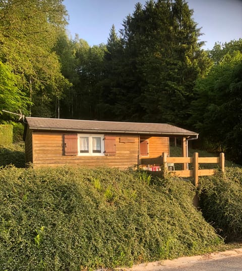 Spring, Natural landscape, Garden, Garden view