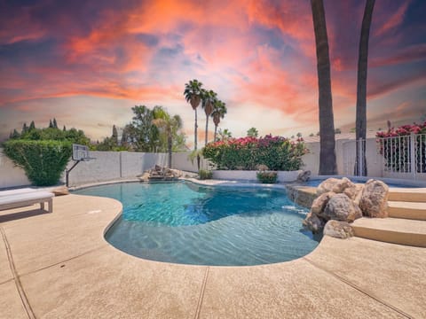 Patio, Day, Swimming pool, sunbed