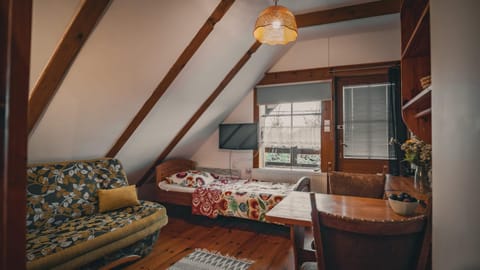 Photo of the whole room, pet friendly, pet friendly