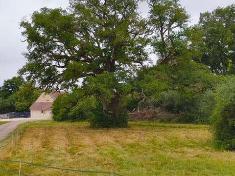 Natural landscape