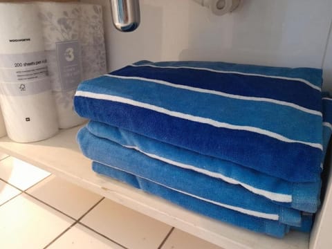 401 Pip's Place Apartment in Cape Town