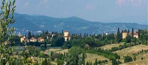 Nearby landmark, Day