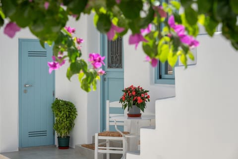 Stella's Alley House House in Naousa