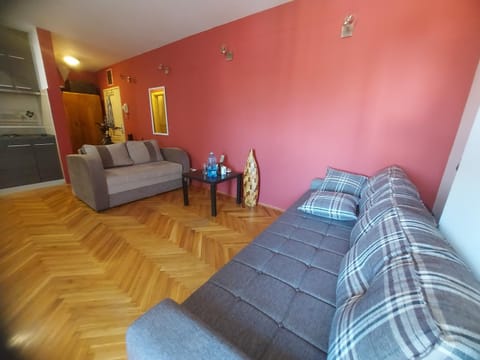 Hello Africa apartment Apartment in Novi Sad