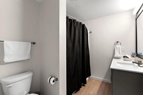 E426 Luxury 3 Bedroom Condo In Downtown Minneapolis, Minutes From Minneapolis Convention Center & US Bank Arena Apartment in Loring Park