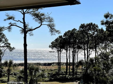 Natural landscape, Beach, Sea view