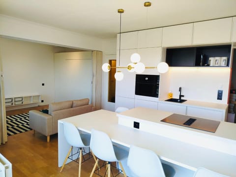 Kitchen or kitchenette, Living room, Seating area, Dining area, oven, stove
