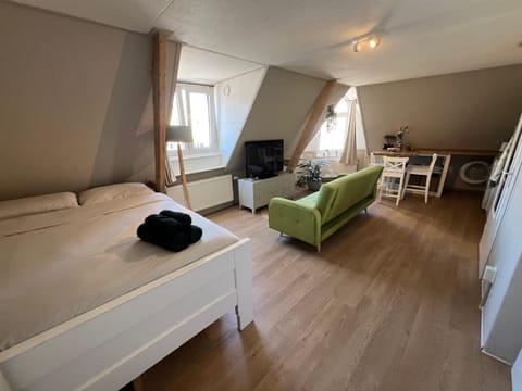 Beachfront studio with sunset view Apartment in The Hague