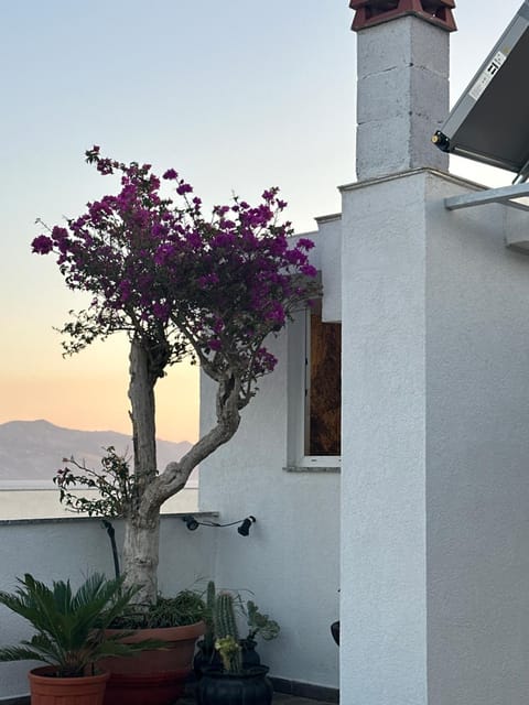 View (from property/room), City view, Sea view