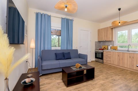 Kitchen or kitchenette, Living room, Seating area, oven, stove