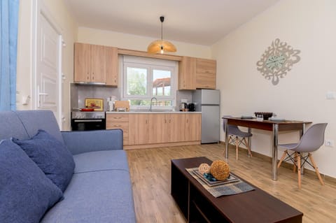 Kitchen or kitchenette, Living room, Seating area, Dining area, stove