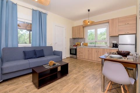 Kitchen or kitchenette, Living room, Seating area, Dining area, oven, stove