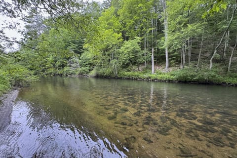 Stargazing Daydreamer House in Arlington