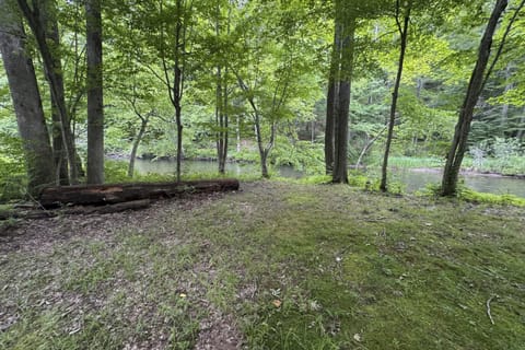 Stargazing Daydreamer House in Arlington