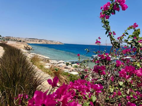 Beach, Sea view