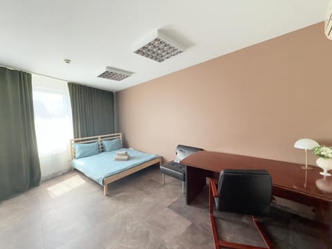 Seliu 29 Apartment in Vilnius